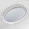Beade Ceiling Light LED grey, white, 1-light source, Remote control, Colour changer