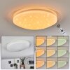 Rosenga Ceiling Light LED white, 1-light source, Remote control