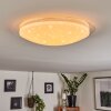 Rosenga Ceiling Light LED white, 1-light source, Remote control