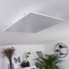 Salamo Ceiling Light LED white, 1-light source, Remote control