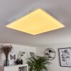 Salamo Ceiling Light LED white, 1-light source, Remote control