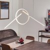 Alelua Pendant Light LED white, 1-light source, Remote control