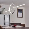 Alelua Pendant Light LED white, 1-light source, Remote control