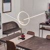 Alelua Pendant Light LED white, 1-light source, Remote control
