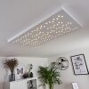 Cetara Ceiling Light LED grey, 1-light source, Remote control, Colour changer