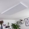 Cetara Ceiling Light LED grey, 1-light source, Remote control, Colour changer