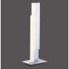 Paul Neuhaus Q-TOWER Table lamp LED aluminium, 2-light sources, Remote control