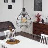 Alafe Pendant Light black, 1-light source