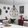 Alafe Pendant Light black, 1-light source