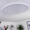 Sani Ceiling Light LED white, 1-light source, Remote control