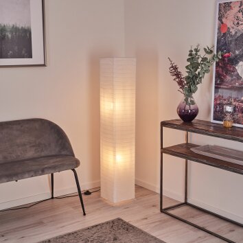 Hauhui Floor Lamp black, 2-light sources