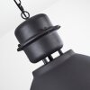 Ogho Pendant Light black, 1-light source
