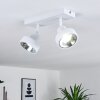 Chagres Ceiling Light white, 2-light sources