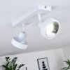 Chagres Ceiling Light white, 2-light sources