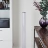 Tumurora Floor Lamp LED chrome, 1-light source, Remote control