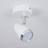 Idlewild Ceiling Light LED chrome, white, 1-light source