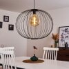 Wharua Pendant Light black, 1-light source