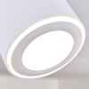 Appleton Ceiling Light LED white, 1-light source