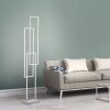 Paul Neuhaus Q-INIGO Floor Lamp LED brushed steel, 3-light sources, Remote control