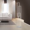 Paul Neuhaus Q-INIGO Floor Lamp LED brushed steel, 3-light sources, Remote control