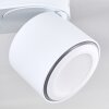 Appleton Ceiling Light LED white, 3-light sources