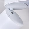 Appleton Ceiling Light LED white, 3-light sources