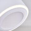 Appleton Ceiling Light LED white, 2-light sources