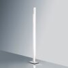 Paul Neuhaus Q-TOWER Floor Lamp LED aluminium, 2-light sources, Remote control