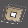Paul Neuhaus Q-AMIRA Ceiling Light LED Light wood, 1-light source, Remote control