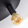Esbjerg Ceiling Light black, 3-light sources