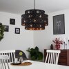 Trasancos Pendant Light black, 1-light source