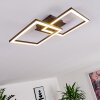 Thara Ceiling Light LED black, 1-light source