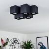Karaka Ceiling Light black, 6-light sources