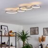 Rodekro Ceiling Light LED matt nickel, 4-light sources