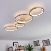 Rodekro Ceiling Light LED matt nickel, 4-light sources