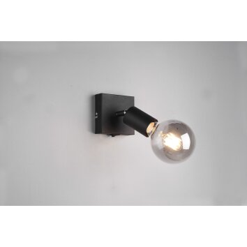 Reality Vannes Spotlight black, 1-light source