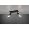 Reality Vannes Spotlight black, 2-light sources