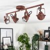 DROBAK Ceiling Light rust-coloured, 4-light sources