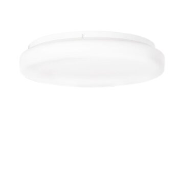 Ceiling Light By Rydens Ocean white, 2-light sources