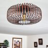 Wemude Ceiling Light copper, black, 1-light source