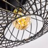 Wemude Ceiling Light black-gold, 1-light source