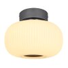 Globo  Ceiling Light LED anthracite, matt nickel, 1-light source