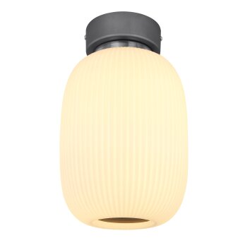 Globo  Ceiling Light LED anthracite, matt nickel, 1-light source
