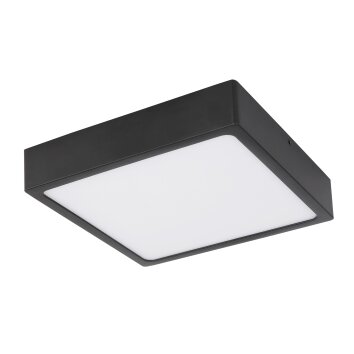 Globo ECHO Ceiling Light LED black, 1-light source