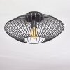 Wemude Ceiling Light black, 1-light source