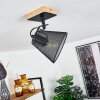 Panaguá Ceiling Light Light wood, black, 1-light source