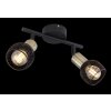 Globo FIASTRA Ceiling Light black, 2-light sources