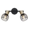 Globo FIASTRA Ceiling Light black, 2-light sources