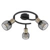 Globo FIASTRA Ceiling Light black, 3-light sources