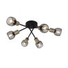 Globo FIASTRA Ceiling Light black, 6-light sources